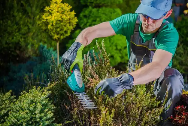 landscaping services Scottsbluff